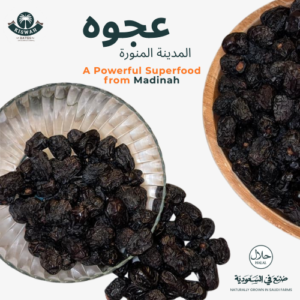 premium ajwa dates (saudi arabia)